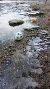 Olja och alggegga på barnbadet på Fisksätra holme 2014-07-29 15:14